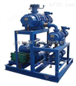 罗茨水环真空泵,罗茨真空泵组,2bv型水环式真空泵,&6                  