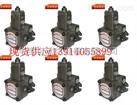 中国台湾安颂叶片泵，安颂双联泵，ANSON变量叶片泵ANSON油压泵 IVP/IVPQ/IVPV21