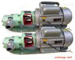WCB系列微型输油泵齿轮油泵