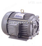 C02-43BOC02-43BO油泵电机SY马达