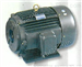 10SCY-Y100L2-4-3KW,油泵电机组