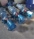 2CY-7.5/2.5电动齿轮泵 高压电加热齿轮泵