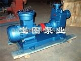 RY25-25-160导热油泵.高温导热油泵.防爆甲醇泵--宝图泵业