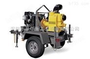 自吸排涝泵PT 6LT-威克污水泵阀门