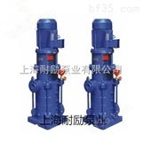 DL系列多级离心泵,DLR立式热水型多级泵