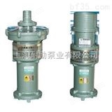 上海QY水泵 耐励现货直销油浸式潜水电泵