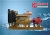 KDL型柴油机矿用泵/上海柴油机泵