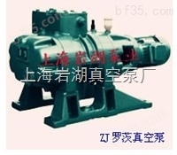 ZJ型罗茨式真空泵系列