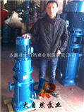 供应100DL*2高杨程多级离心泵 农用多级离心泵 稳压多级泵