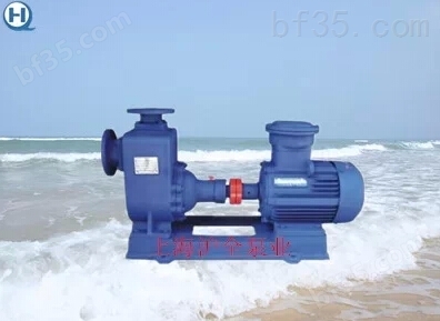 150CYZ-A-65自吸油泵价格 CYZ管道油泵型号·CYZ离心油泵厂家