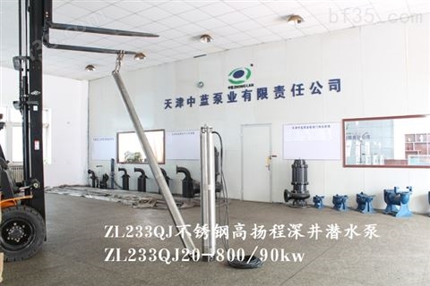 天津高扬程潜水泵