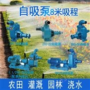 灌溉系统用自吸泵 卧单级单吸泵